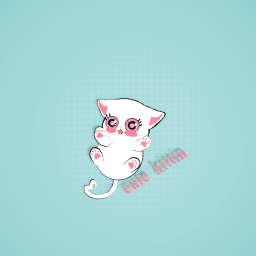 what a cute little cat