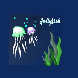 Jellyfish - Ocean