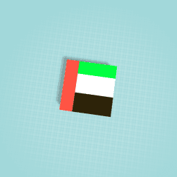 Uae flag in ASIA