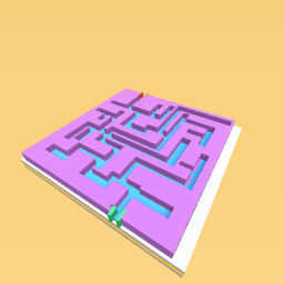 the hardest maze ever