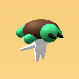 turtle hat