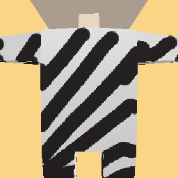 new costume