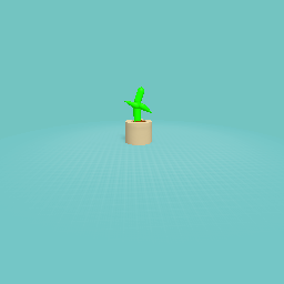 Plant