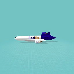 FEDEX flight 80