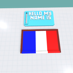 The France flag