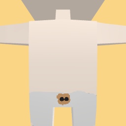 new costume