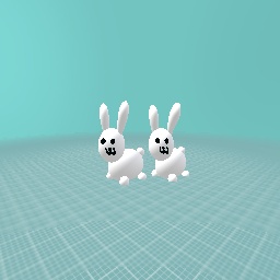 Bunnies!