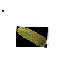 Pickle
