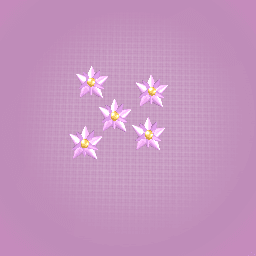 Flower stars