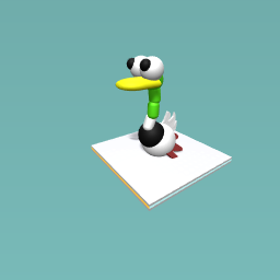 duck