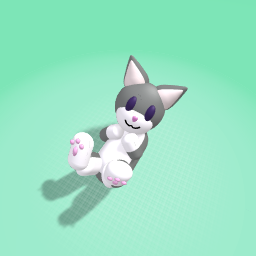 cute cat awww cat:love yall