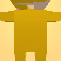 Gold outfit