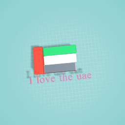 Uae flag