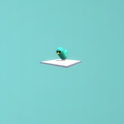 Here, BIRDY BIRDY!!!!!!