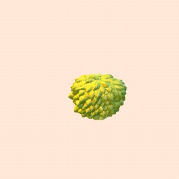 Part: Bush / Hair