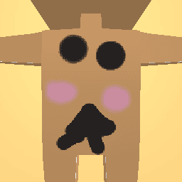 new costume