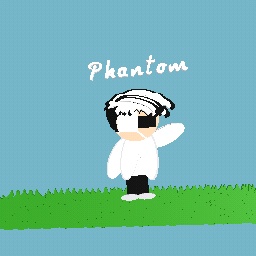 ~Mini Phantom~