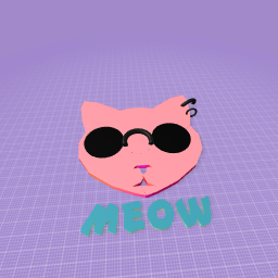 cool cat !😎