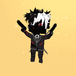 Ninja KSG