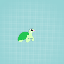 Timid turtle