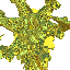 Glogo