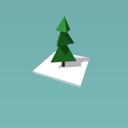 pine tree