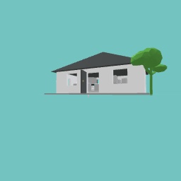 House with a lounge room inside