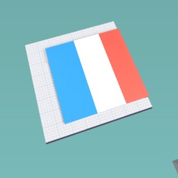France flag