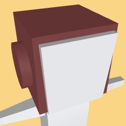 My Attempt Of Princess Leia Hair 2