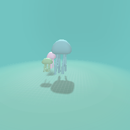 Jellyfish