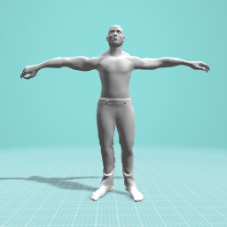 T pose