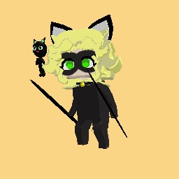 Cat Noir