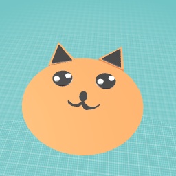 Cute cat