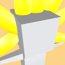 Sun rays