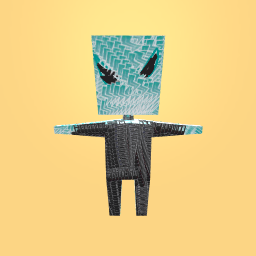 new costume