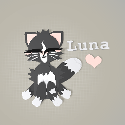 mah kittie irl!! :3
