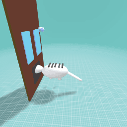 Cat and door