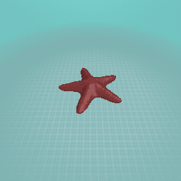 star fish