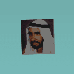 Zayed bn soldan al nahyan