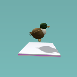 I was TOTALLY supposed to do a duck.