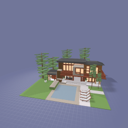 Modern house