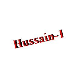 Hussain-1