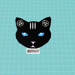 midnight kitty