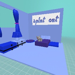 Splat cat your room
