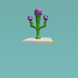 fun cactus