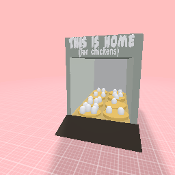 Chicken Coop