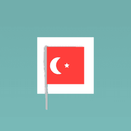 Flag of turkey