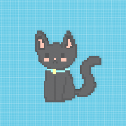 Cute Black Cat OwO かわいい黒猫