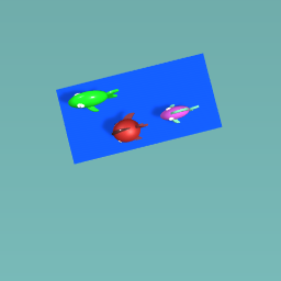 3 fishes waiting for more water to come