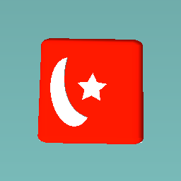 Turkeyyyy flag